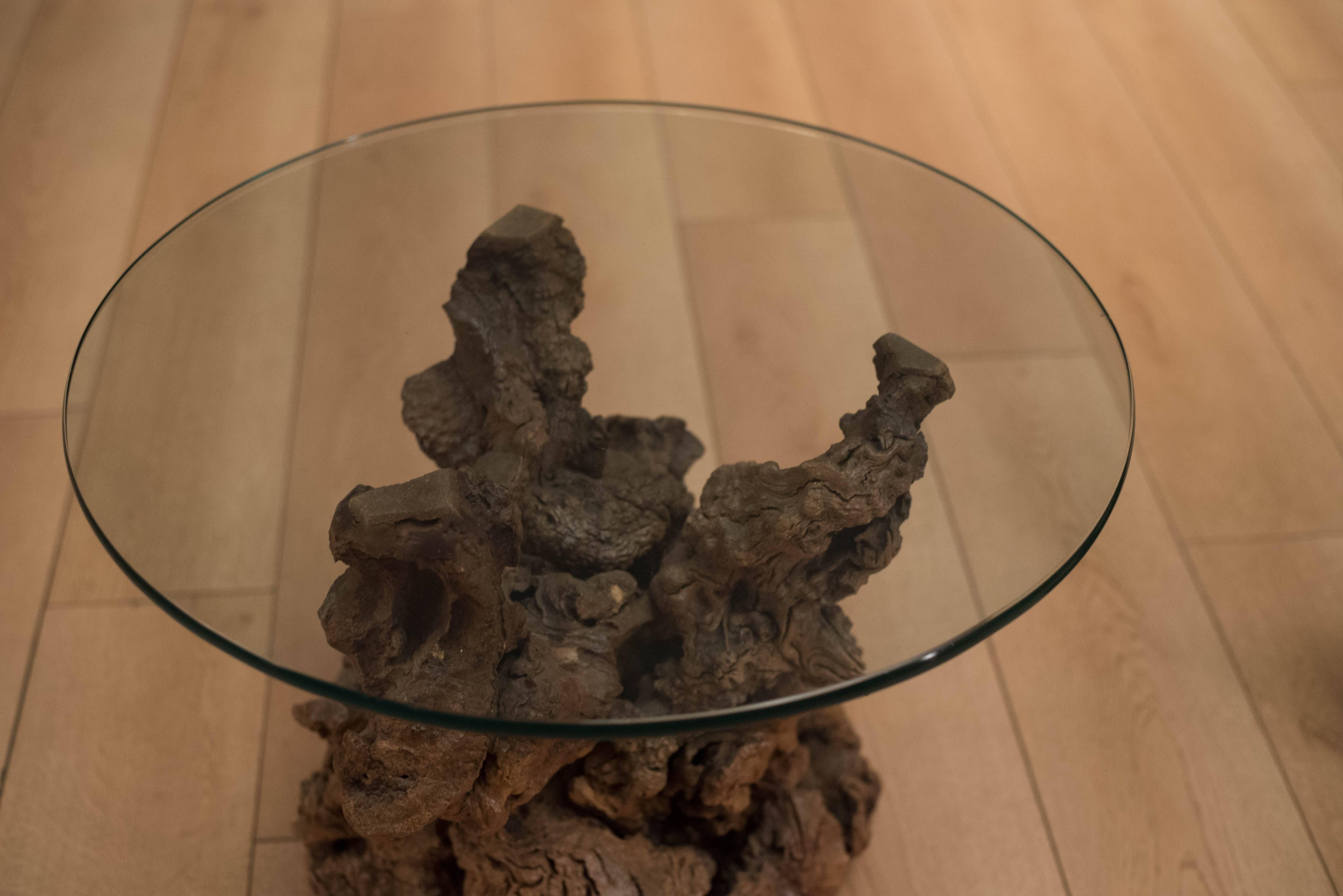 Glass Vintage Pair of Burl Root End Tables