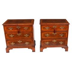Vintage Pair of Burr Walnut Bedside Chests Cabinets 20th Century