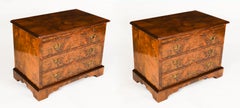 Vintage Pair of Burr Walnuss Nachttische Schränke mit Folien 63x85cm