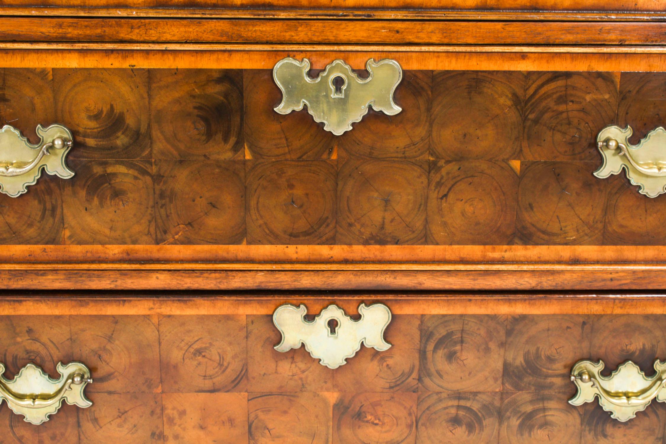Brass Vintage Pair of Burr Walnut Oyster Veneer Chests of Drawers 20th Century