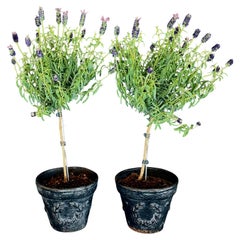 Vintage Pair of English Black Cast Iron Planters with Laurel Wreath Pattern