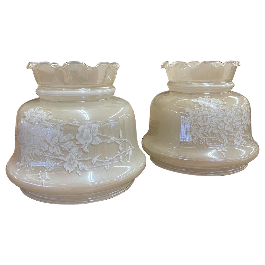 Paire d'abat-jour vintage en verre dépoli avec motif de rose