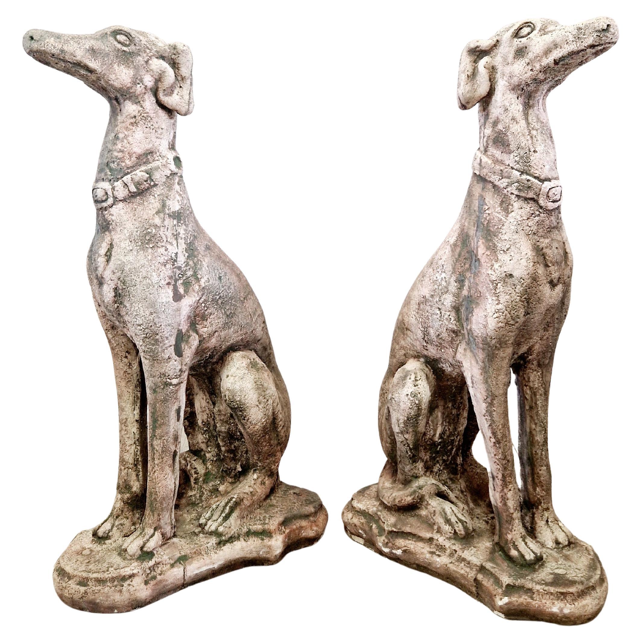 Coppia di statue di cani levriero vintage