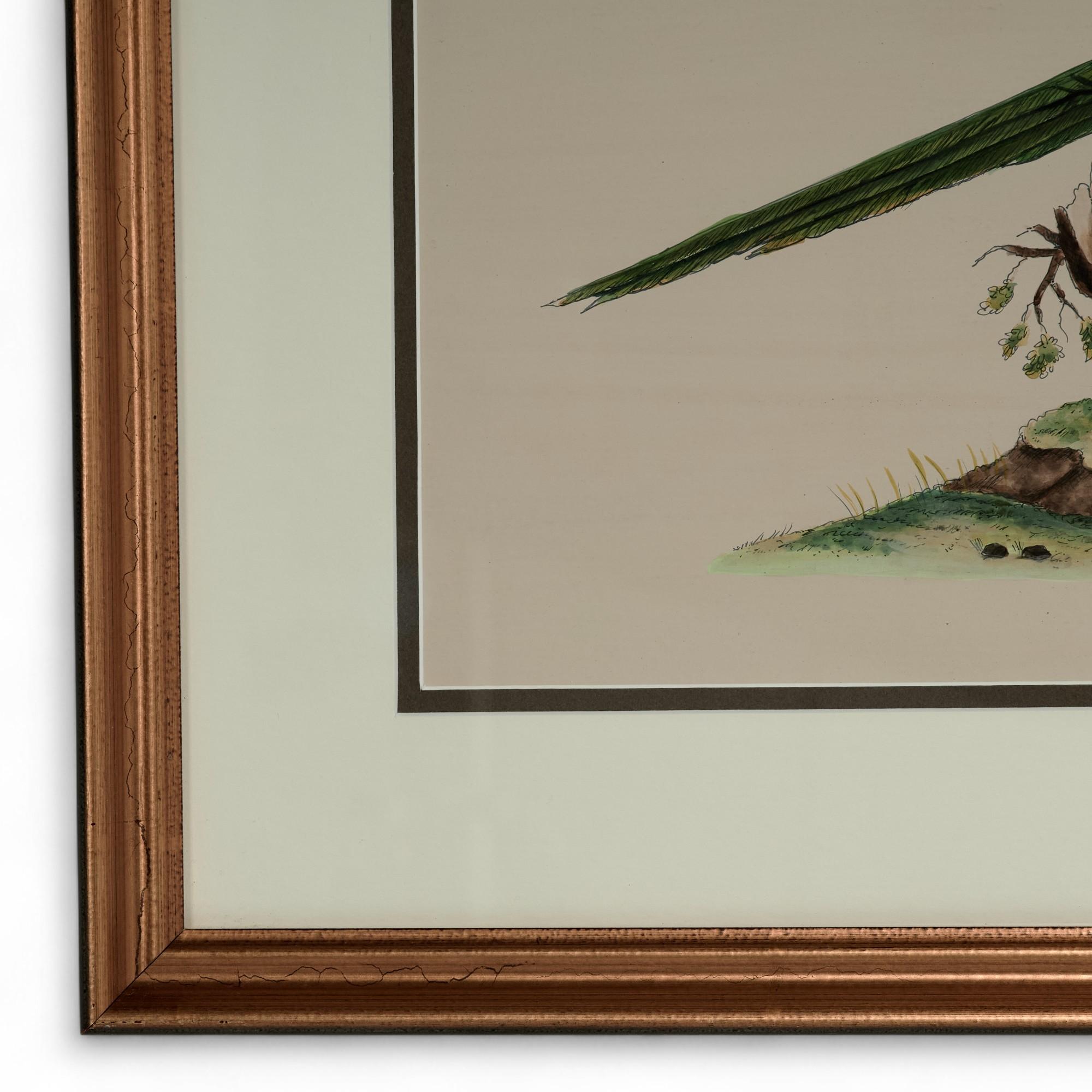 Coppia di dipinti di pappagalli ad inchiostro e acquerello d'epoca In condizioni buone in vendita a Palm Beach, FL