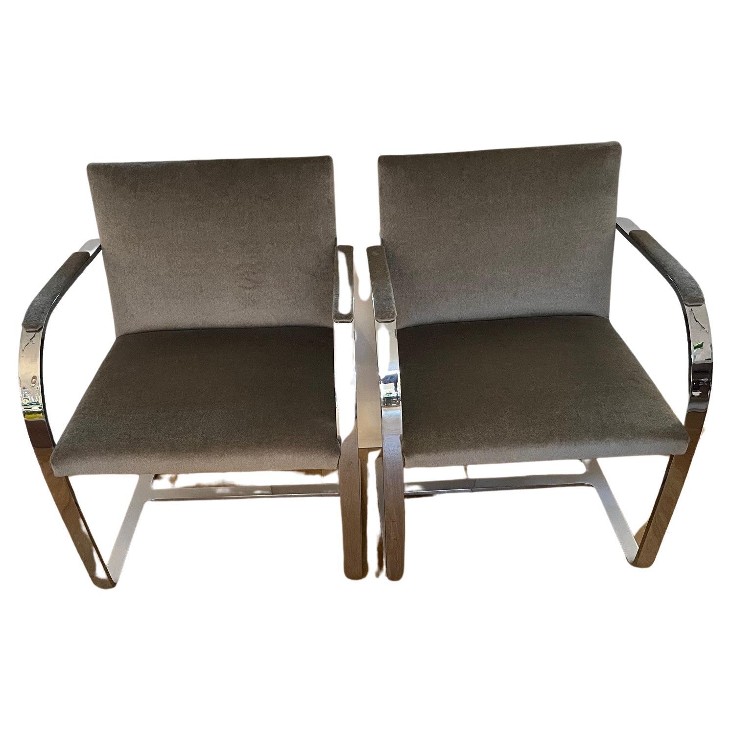 Coppia di sedie da bar piatte Knoll Brno di Ludwig Mies van der Rohe