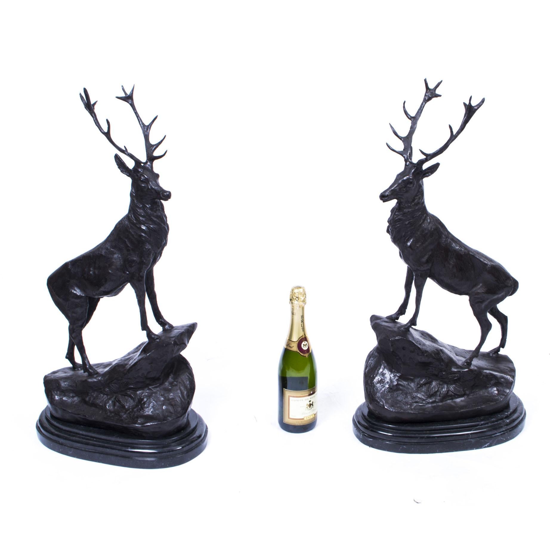 Vintage Pair of Large Bronze Stag Statuettes After Moigniez 20th C 12