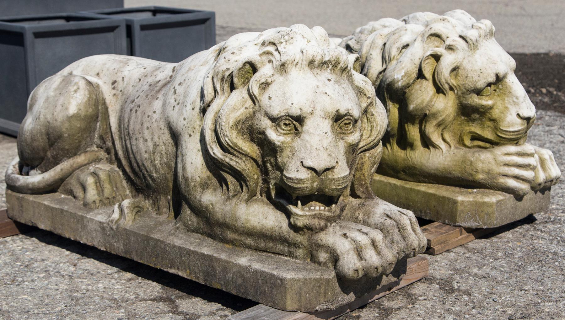 Majestic pair of vintage marble reclining lions. Beautiful patina on each one. A left and right facing design. They originally adorned an entranceway in Westchester, NY. Truly a magnificent example of garden elements that welcome company to a