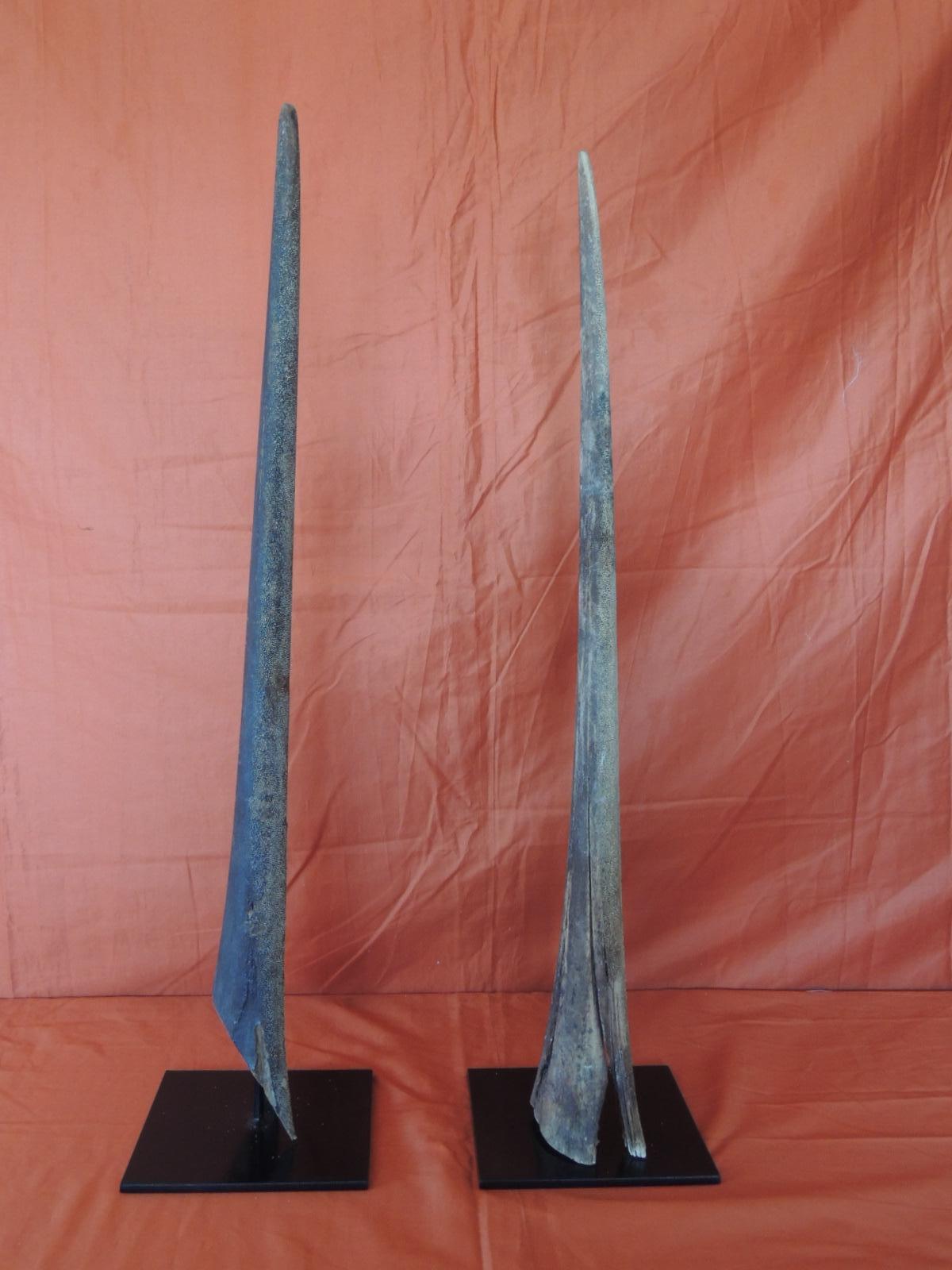 marlin bills