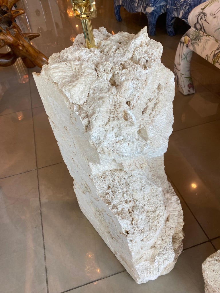 Coquina Stone For Sale