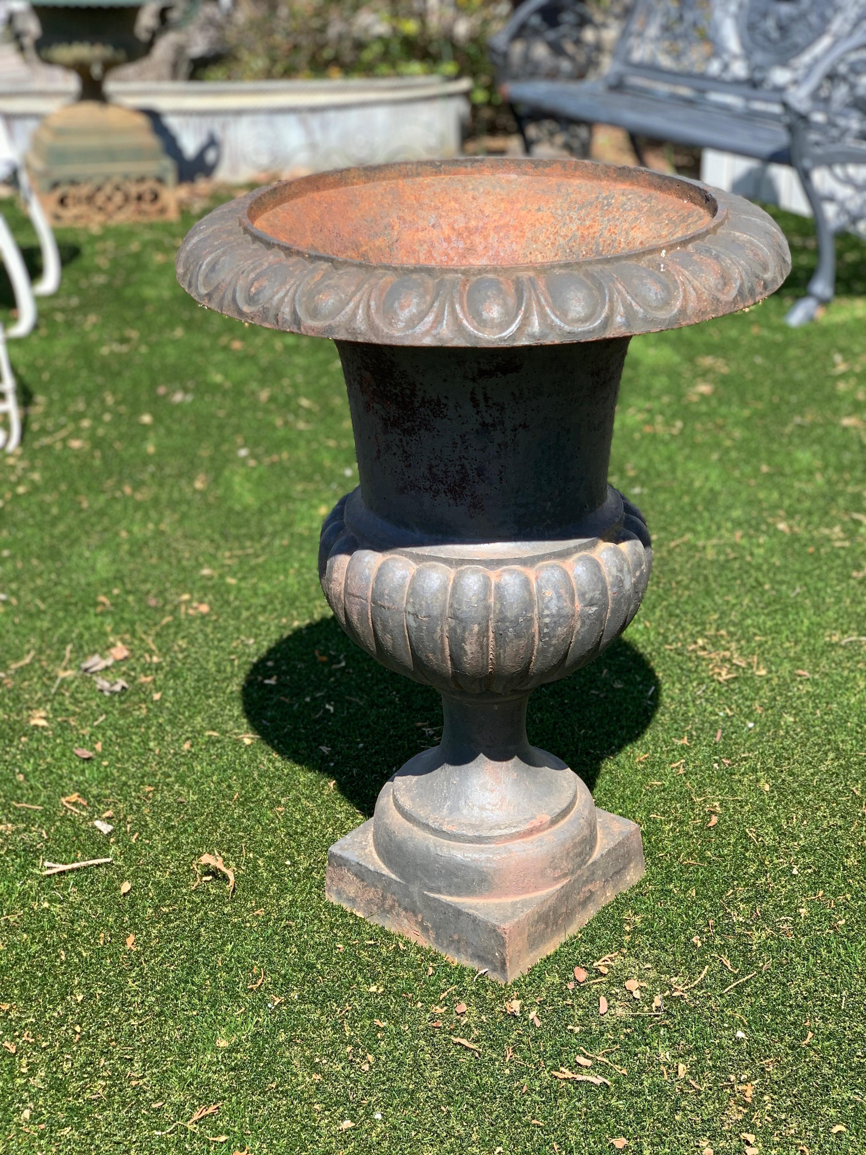 Elegant pair of stately iron neoclassical urn planters with beautiful aged patina.