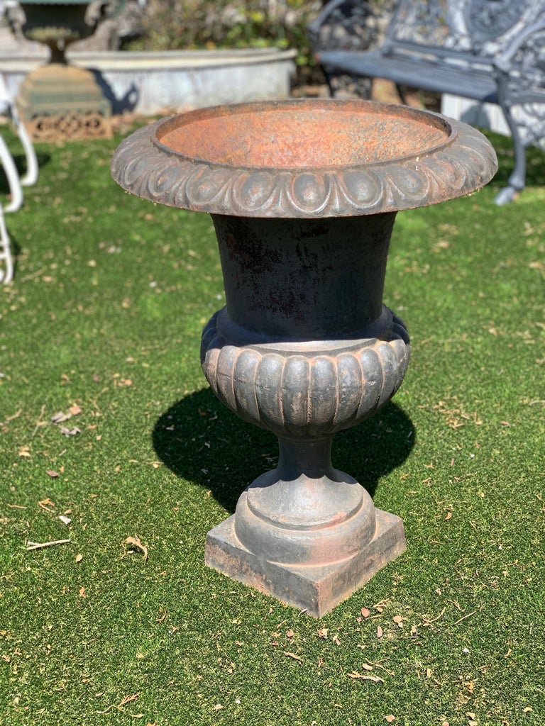 Elegant pair of stately iron neoclassical urn planters with beautiful aged patina.