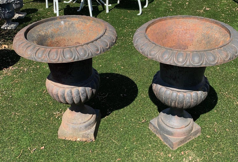Vintage Pair of Neoclassical Cast Iron Garden Urns Planters For Sale 1