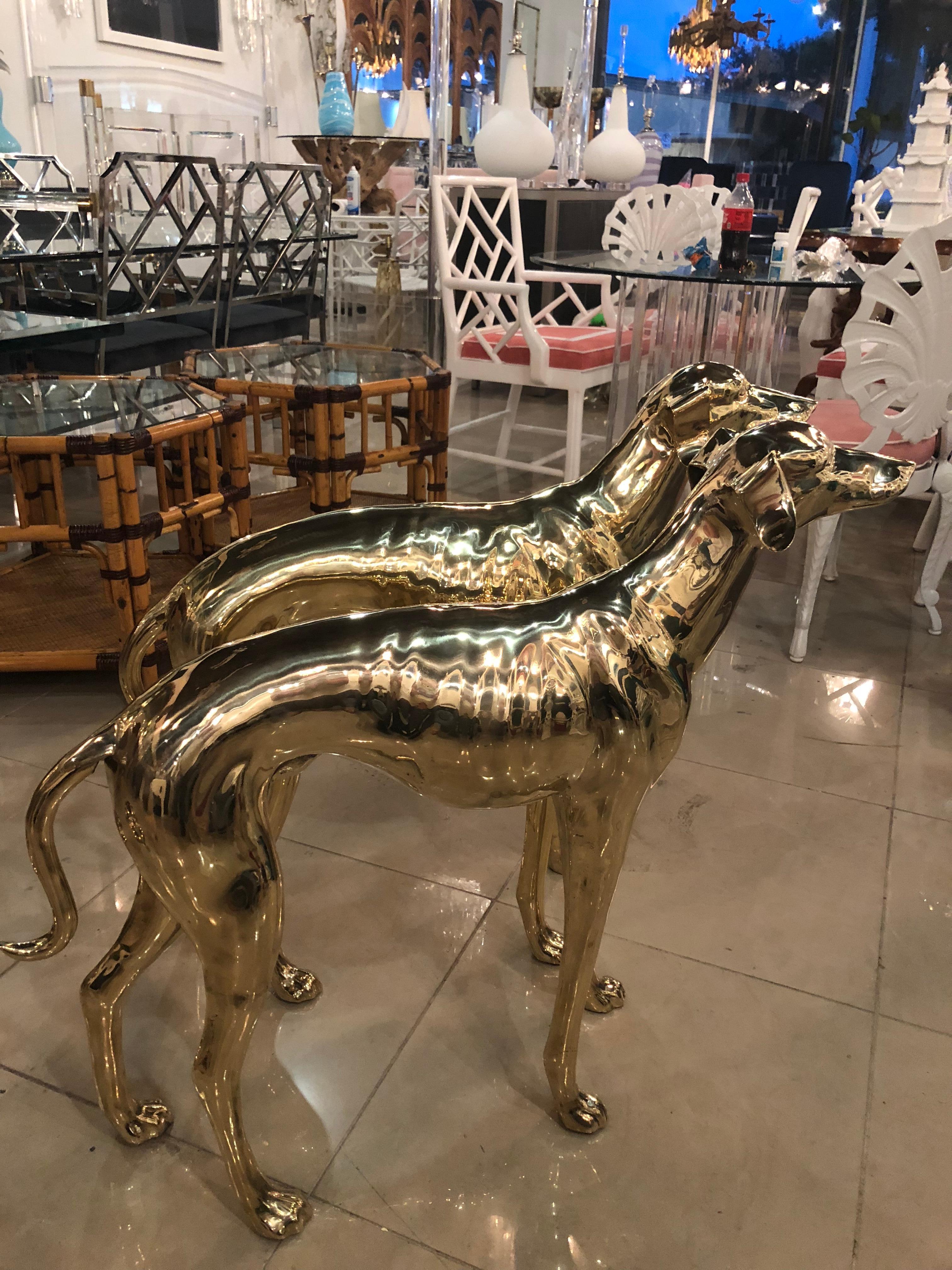Vintage Pair of Polished Brass Life-Size Greyhound Dog Statues 3