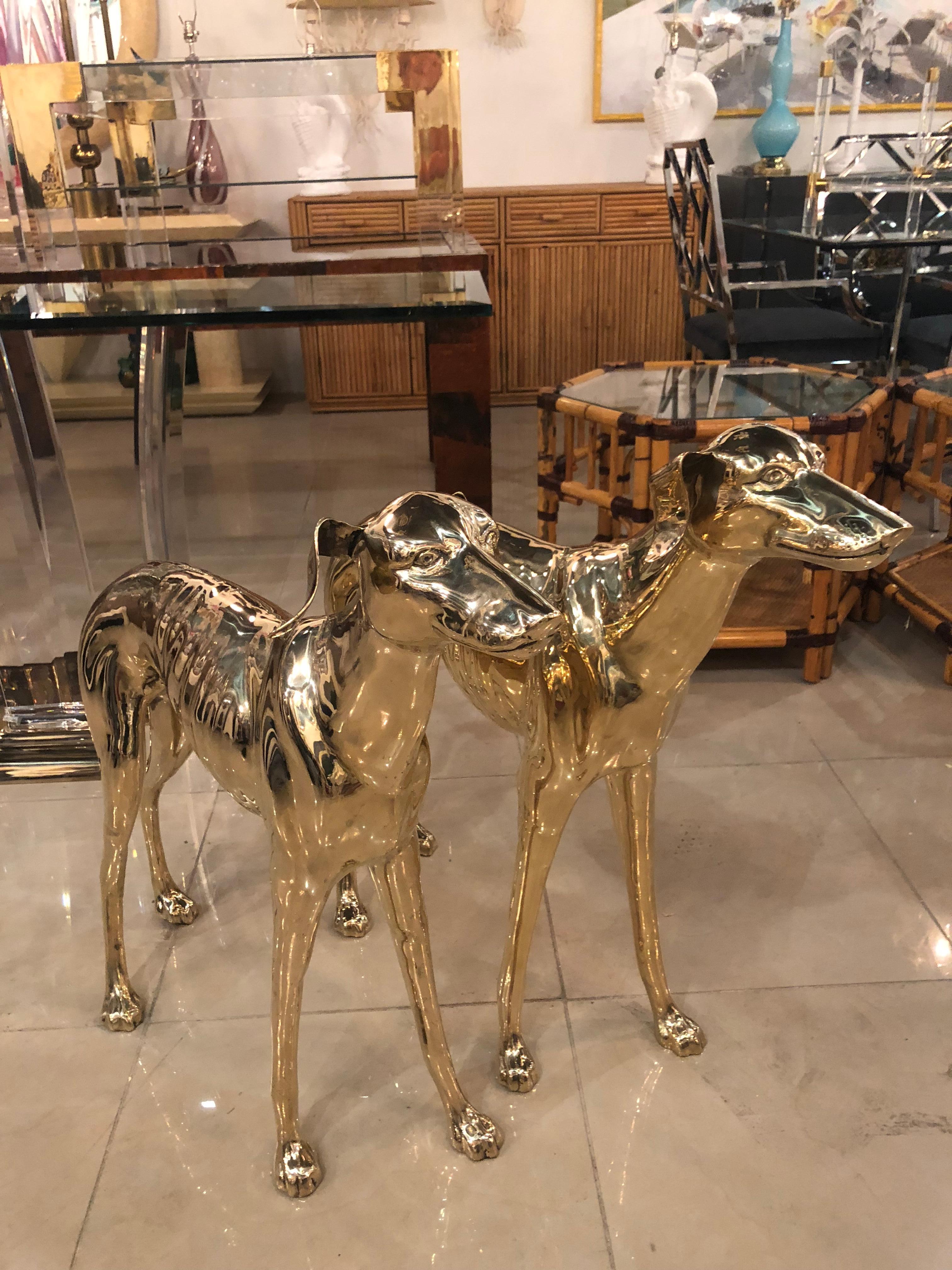 Vintage Pair of Polished Brass Life-Size Greyhound Dog Statues 4