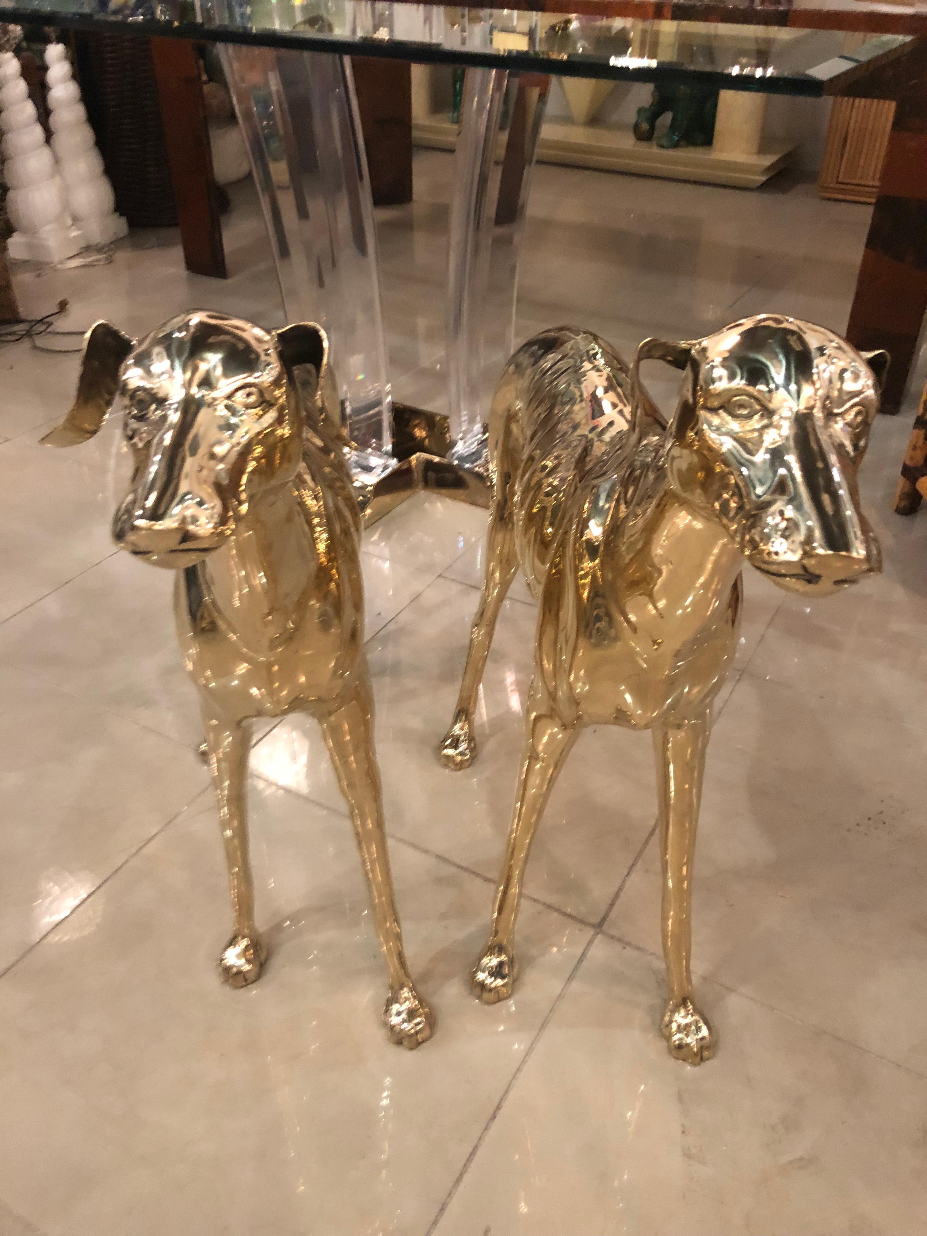 Vintage Pair of Polished Brass Life-Size Greyhound Dog Statues 5