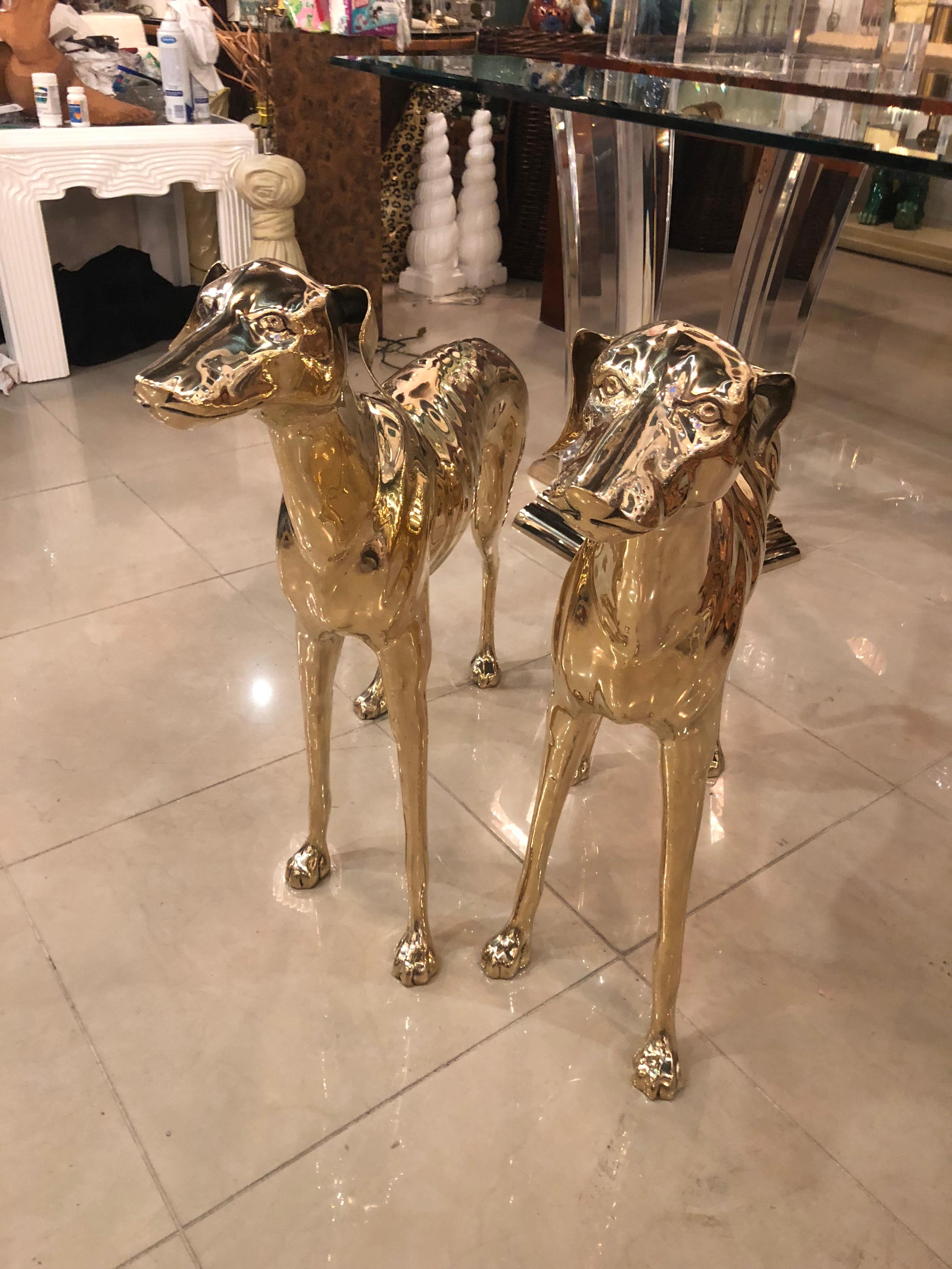 Vintage pair of polished brass life-size Greyhound dog statues. These have been professionally polished.
 