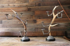 Vintage Pair of Real Antler Candle Holders