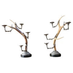 Paire de bougeoirs vintage en bois de cerf véritable
