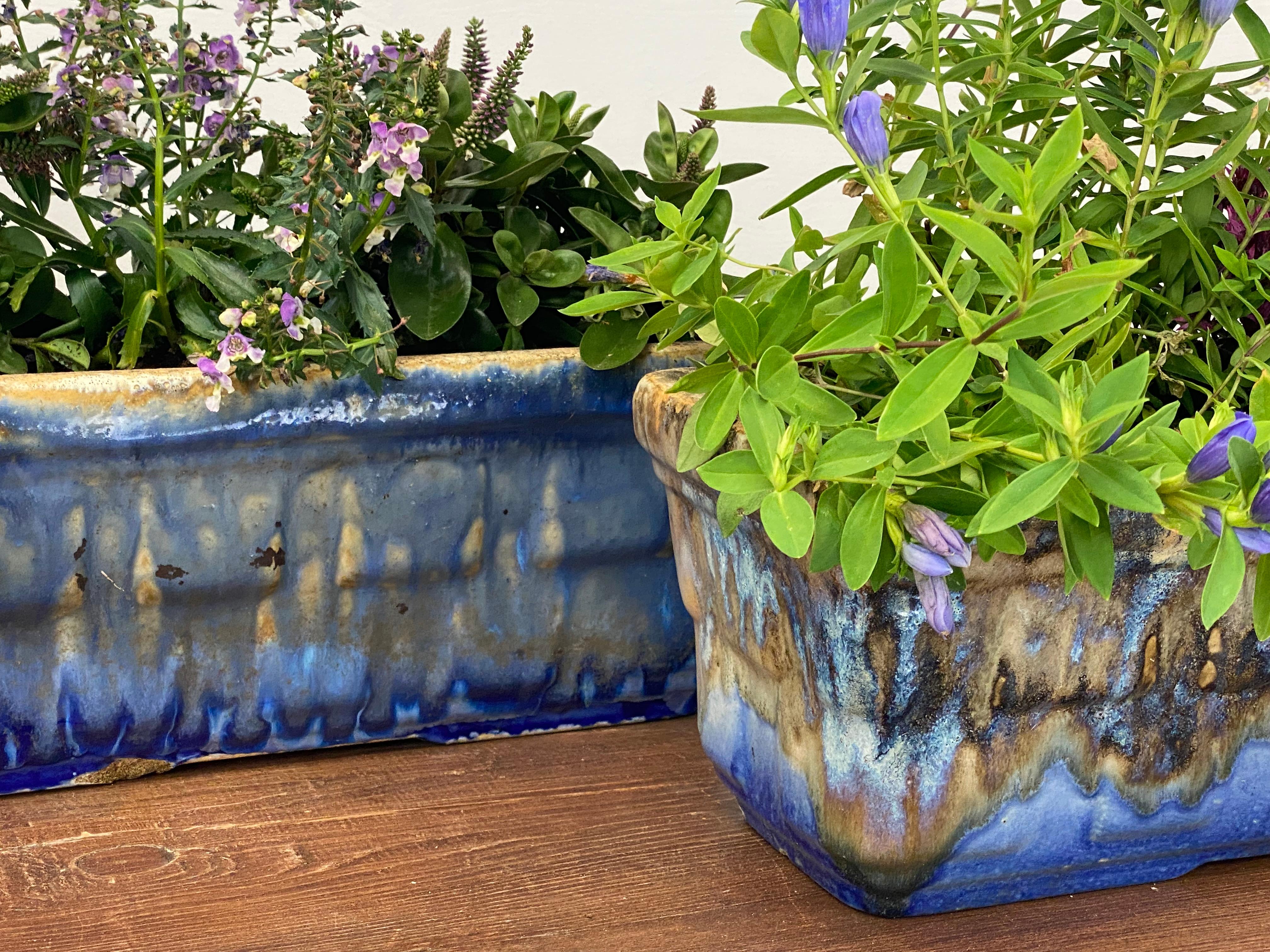 Vintage Pair of Terracotta Planters For Sale 3