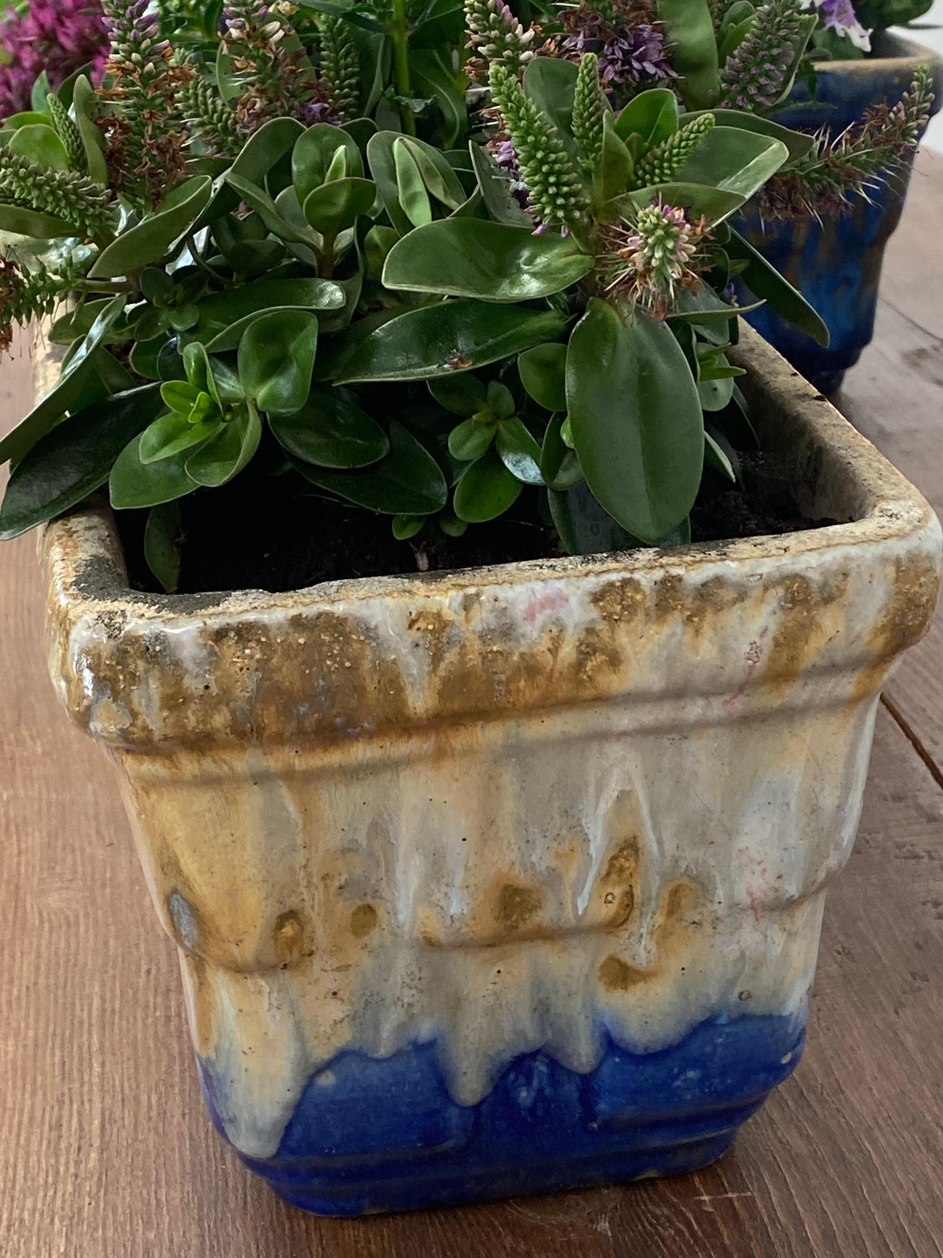Vintage Pair of Terracotta Planters For Sale 5
