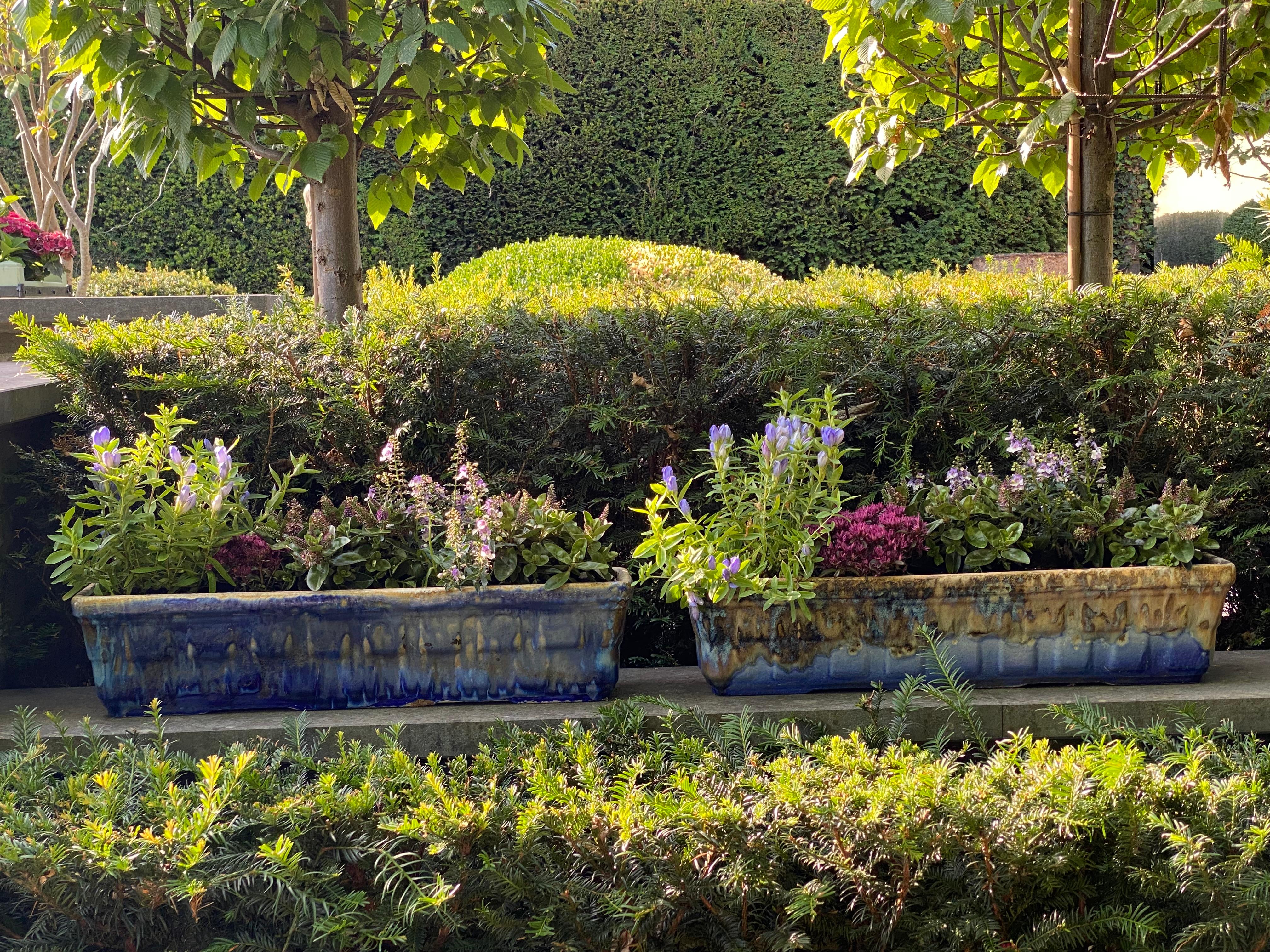 Magnifique paire de jardinières en terre cuite française vintage, datant d'environ 1960,
parfait état et belle brillance de la terre cuite,
un beau mélange de couleurs bleu, beige et crème,
objets très décoratifs 