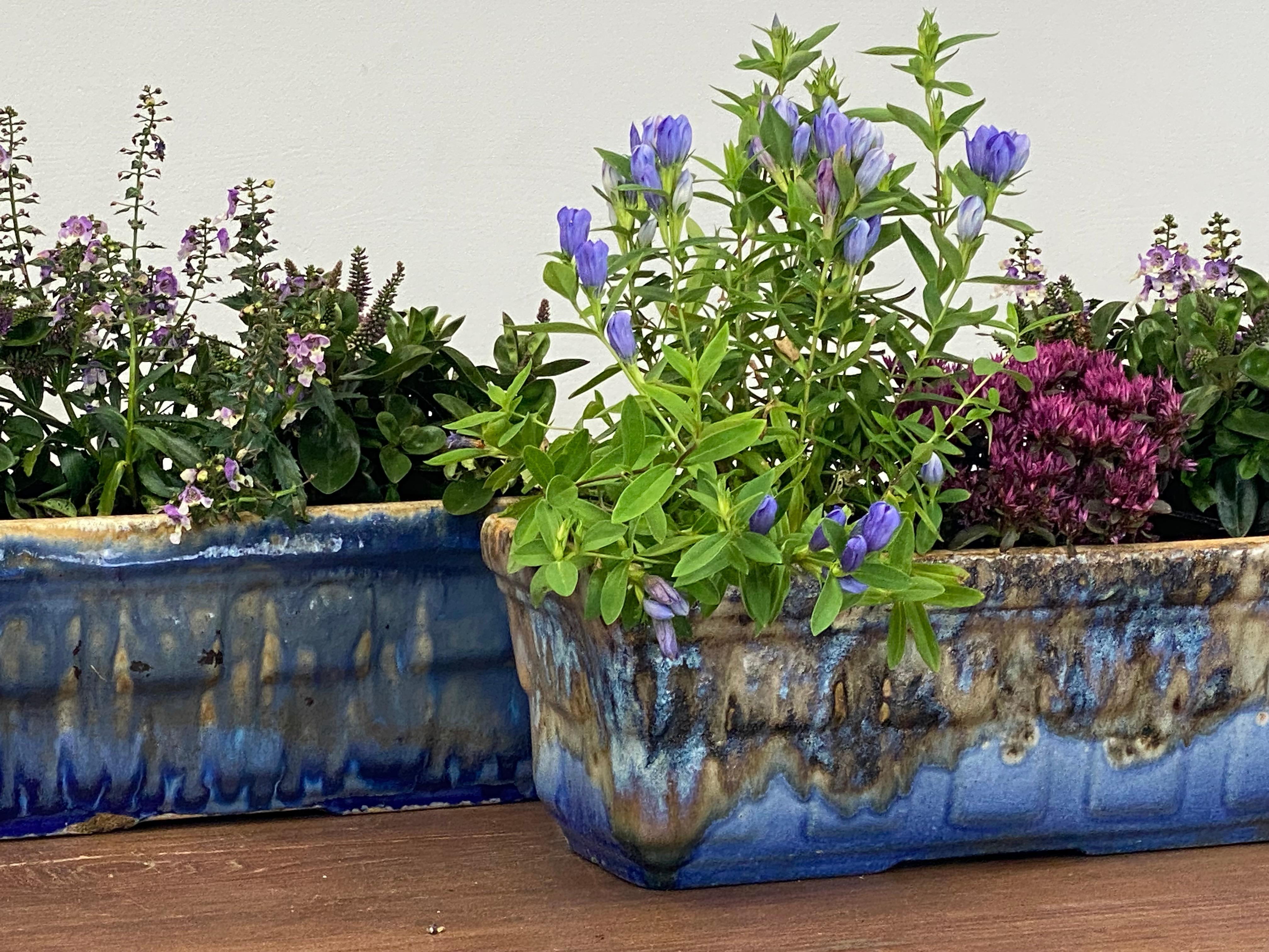 Vintage Pair of Terracotta Planters For Sale 1