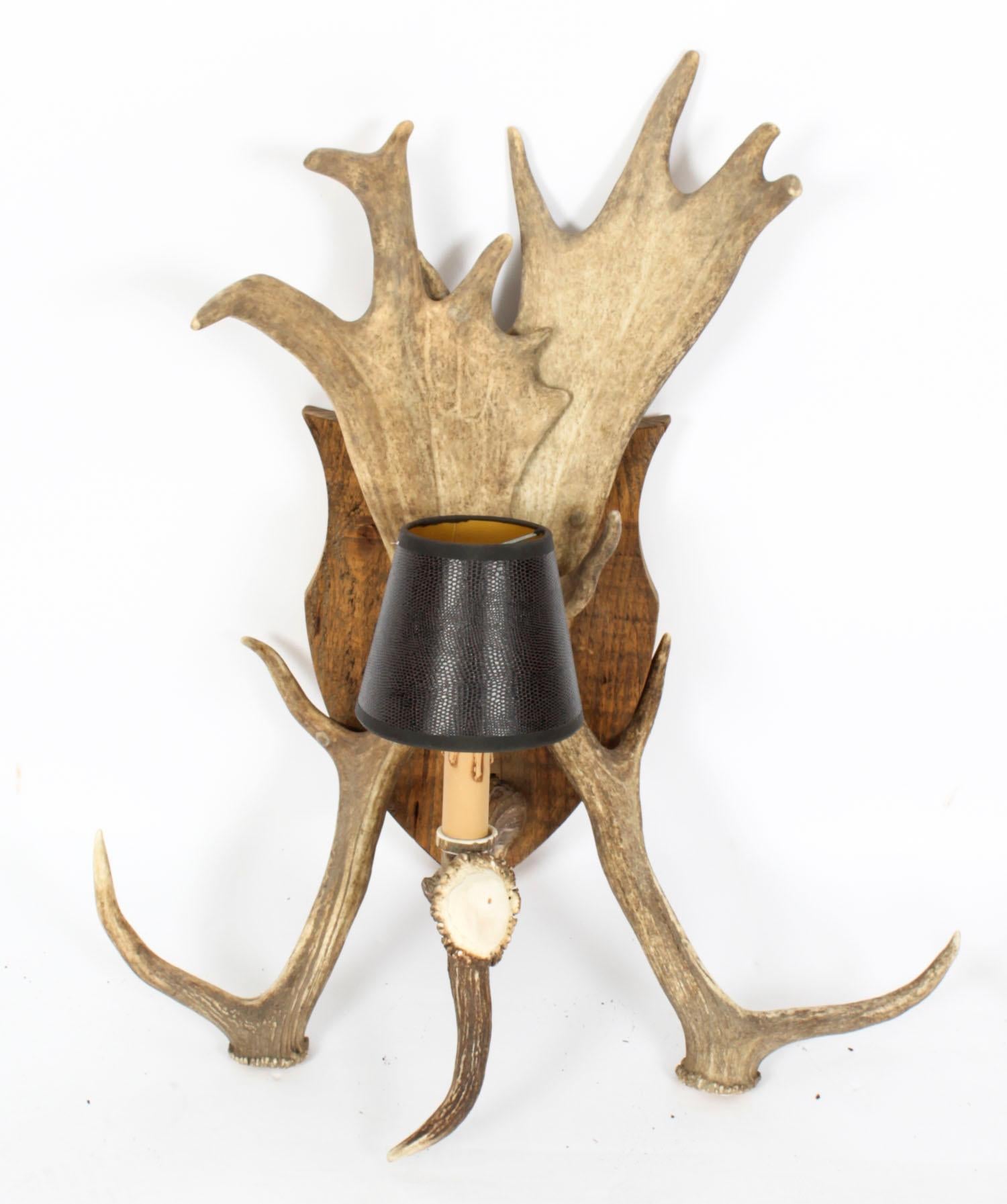 This is a large fantastic pair of vintage Scottish one light wall lights made from naturally shed red deer antlers, and mid 20th century in date.
 
The wall lights features deer antlers arranged in large oak shields with candle lights and faux