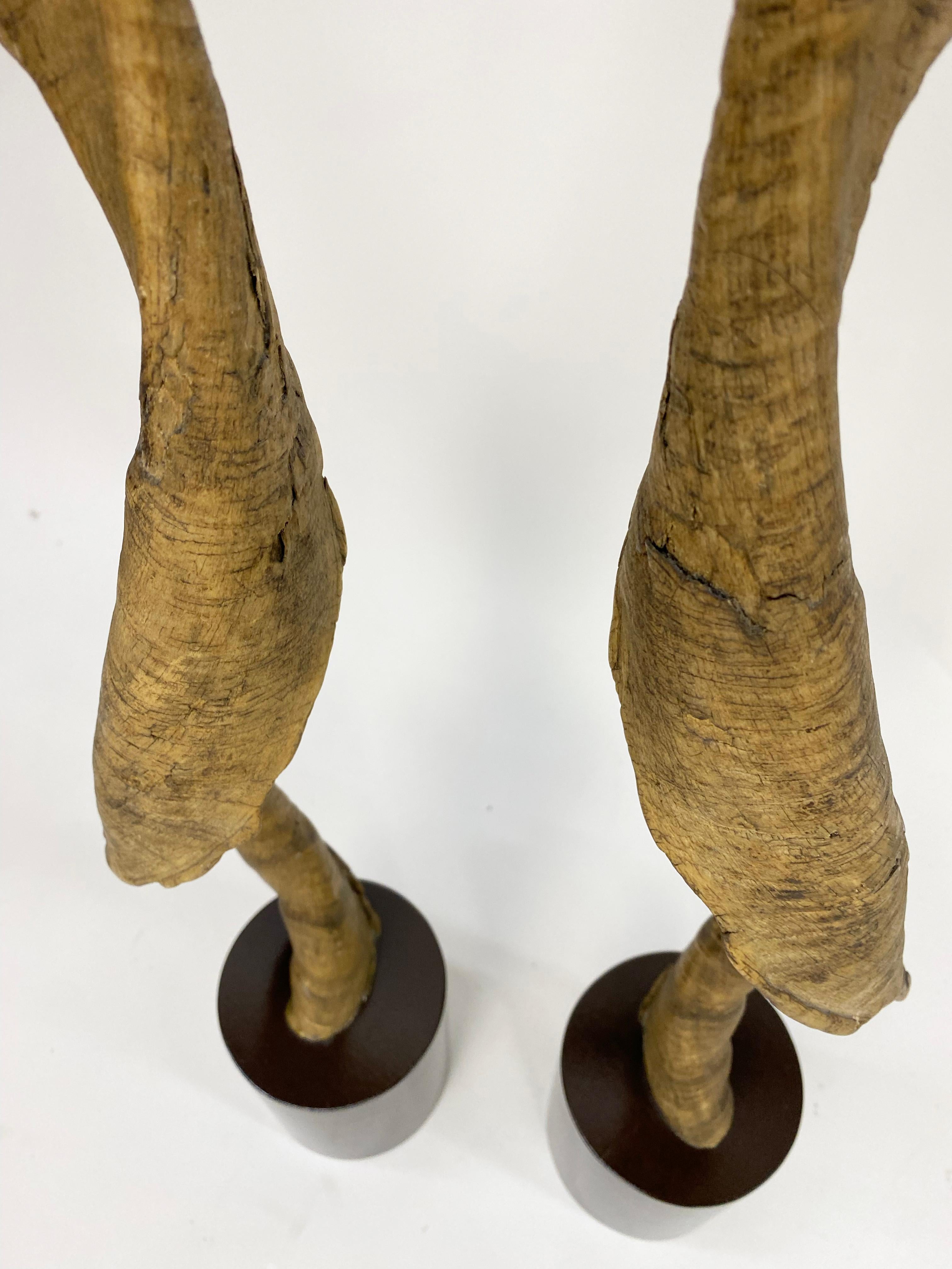 Paire de grands objets décoratifs  Cornes ou bois de koudou montés en vente 7