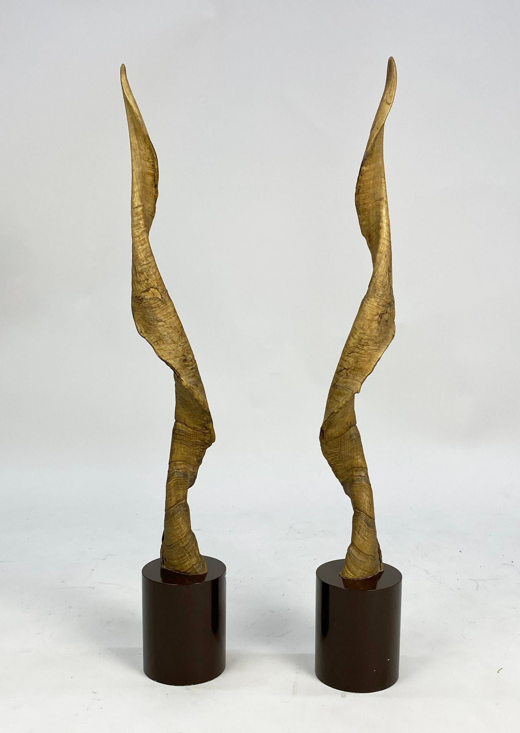 Paire de grands objets décoratifs  Cornes ou bois de koudou montés Bon état - En vente à Minneapolis, MN