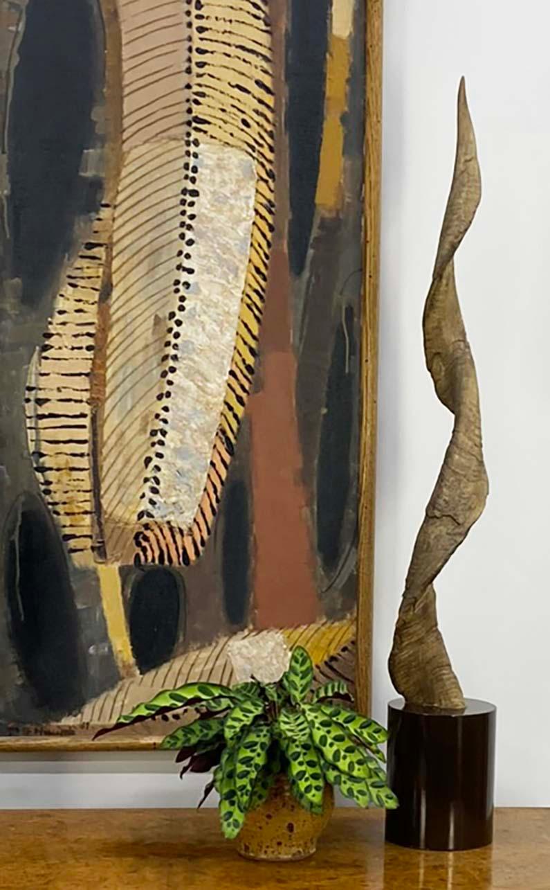 Fin du 20e siècle Paire de grands objets décoratifs  Cornes ou bois de koudou montés en vente
