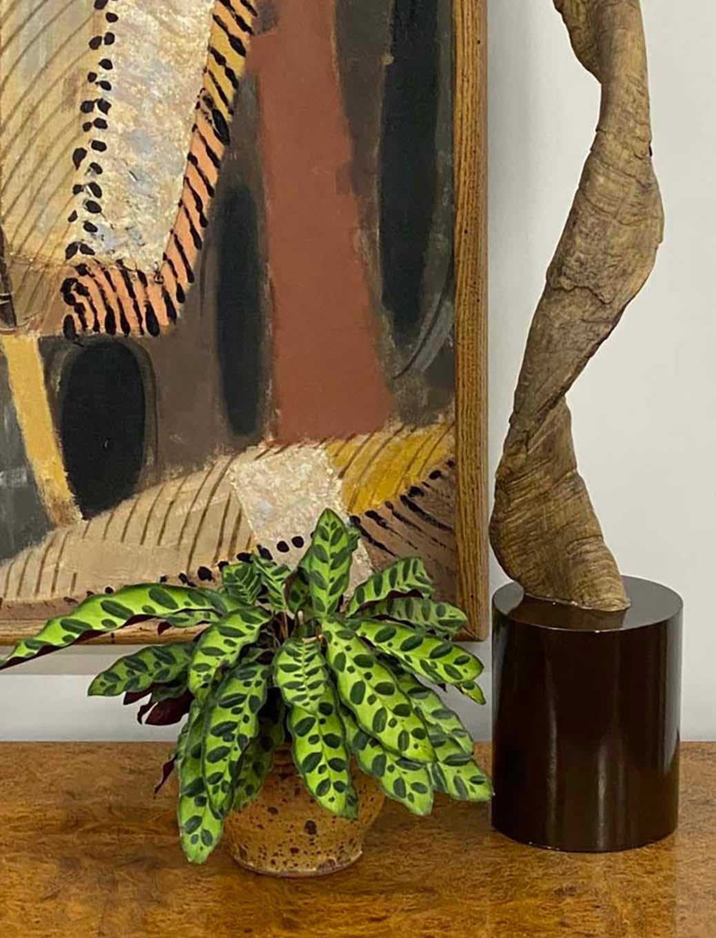 Paire de grands objets décoratifs  Cornes ou bois de koudou montés en vente 4