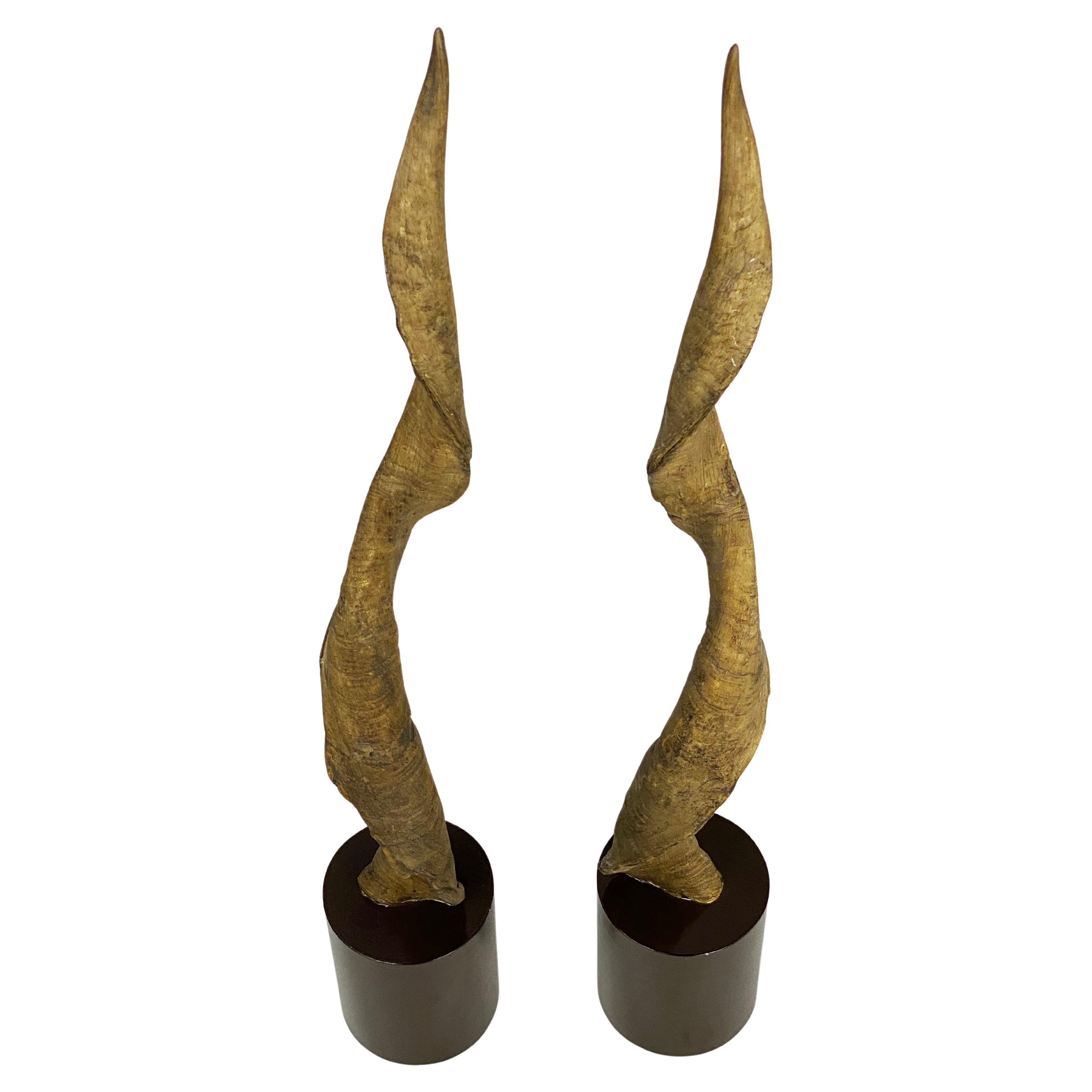 Pareja Vintage Alto Decorativo  Cuernos o astas de kudu montados