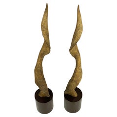 Pareja Vintage Alto Decorativo  Cuernos o astas de kudu montados