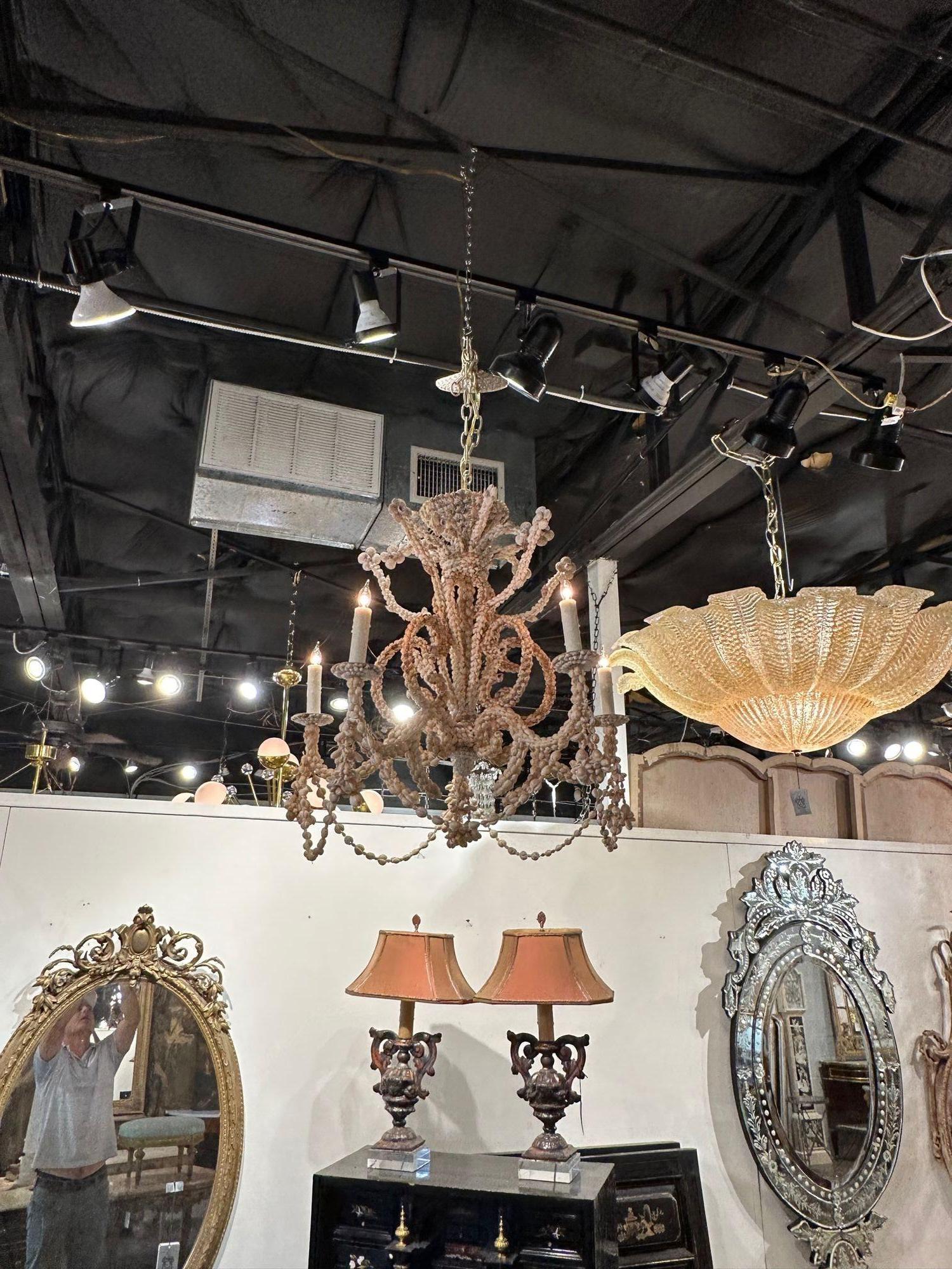 sea shell chandelier