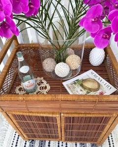 Vintage Palm Beach Wrapped Wicker Reed Rattan Bar Cart with Shelves & Doors