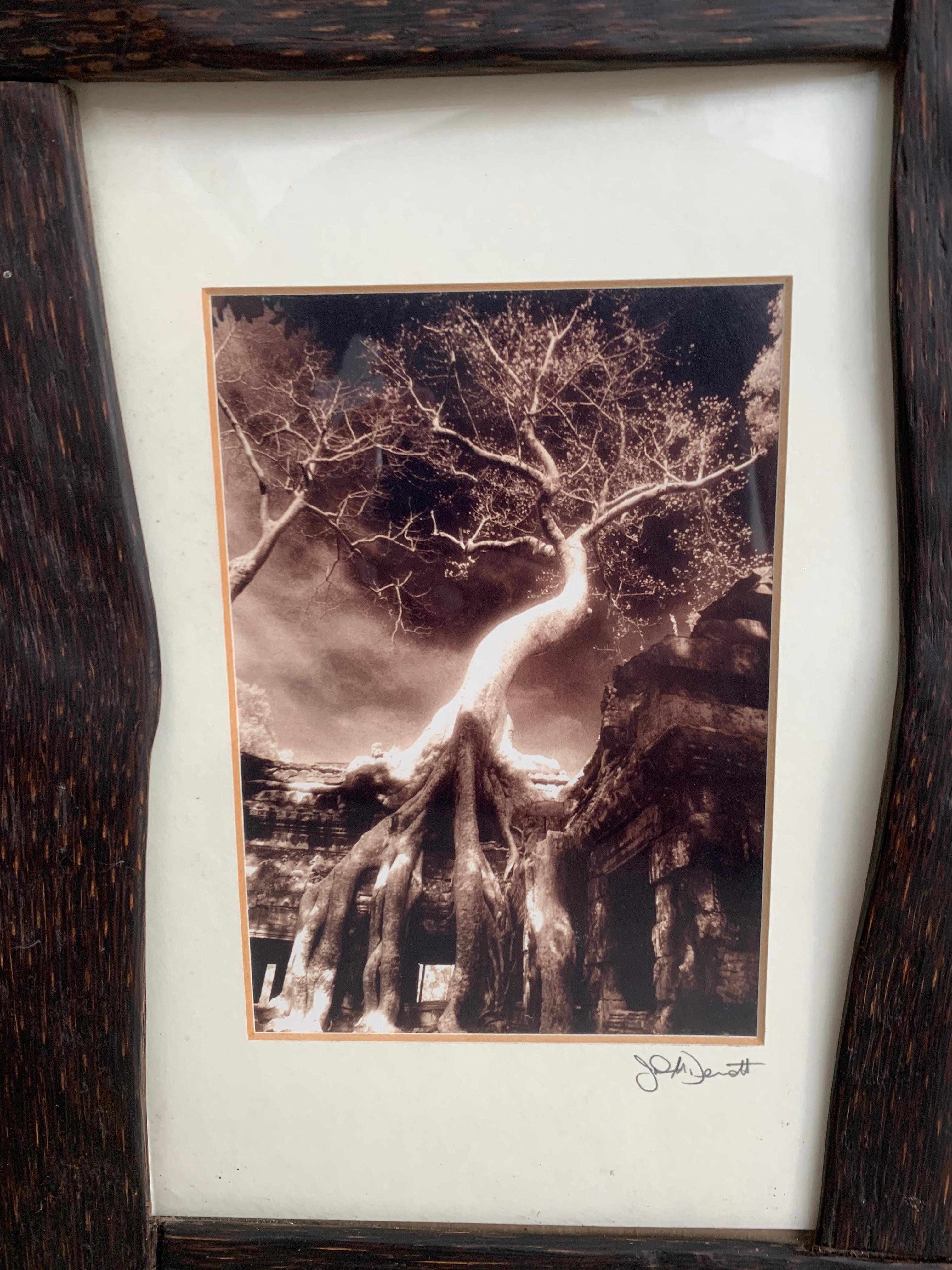 Ein Vintage-Foto aus Kambodscha, gerahmt in einem Rahmen aus Palmenholz und Glas.

Abmessungen: Höhe 38cm x Breite 27cm x Tiefe 0,05cm.
 