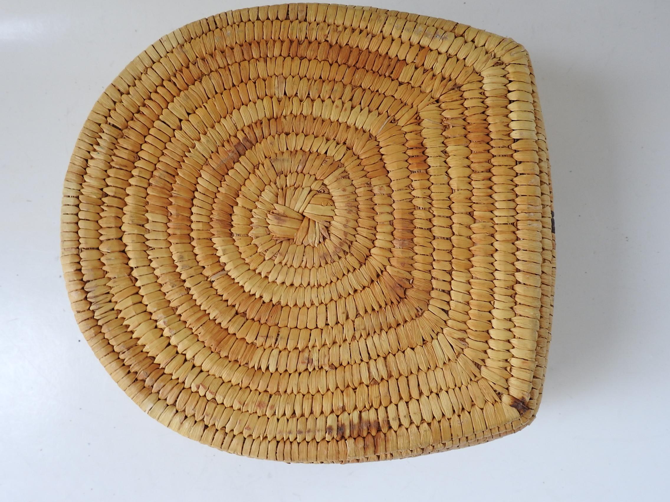 20th Century Vintage Papago Hand Woven Covered Basket Turtle Design For Sale