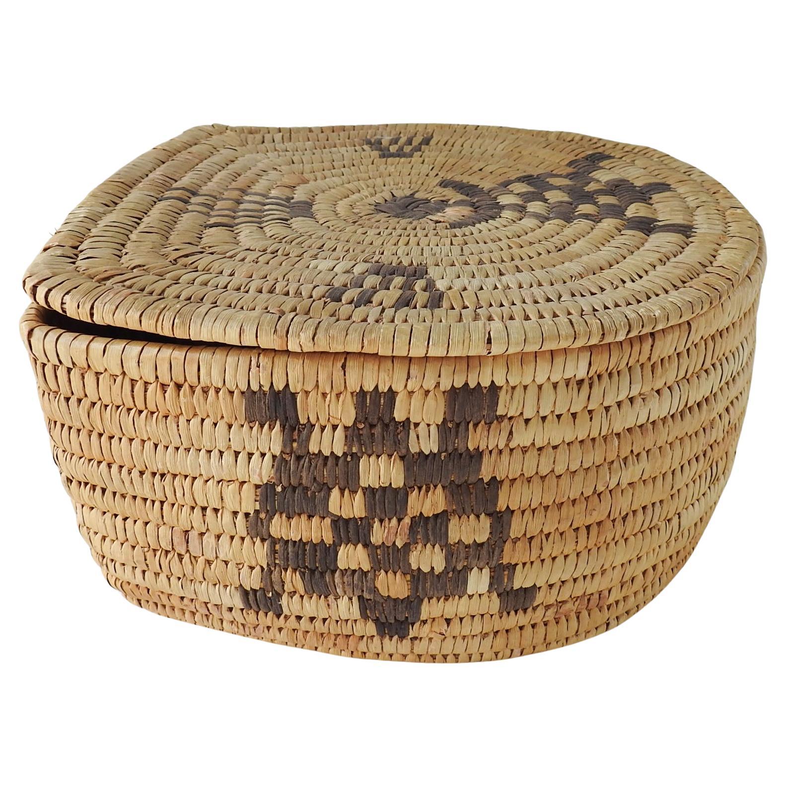 Vintage Papago Hand Woven Covered Basket Turtle Design For Sale