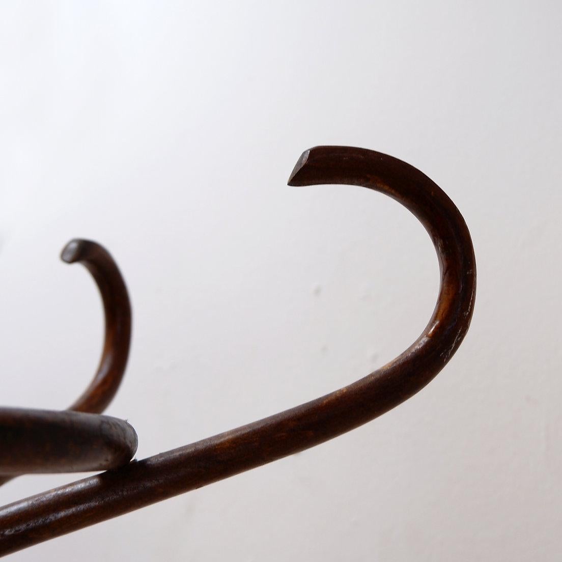 Appendiabiti vintage a pappagallo in legno di bengala - stile Thonet - inizio XX secolo in vendita 7