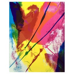 Vintage Paul Jenkins Lithograph