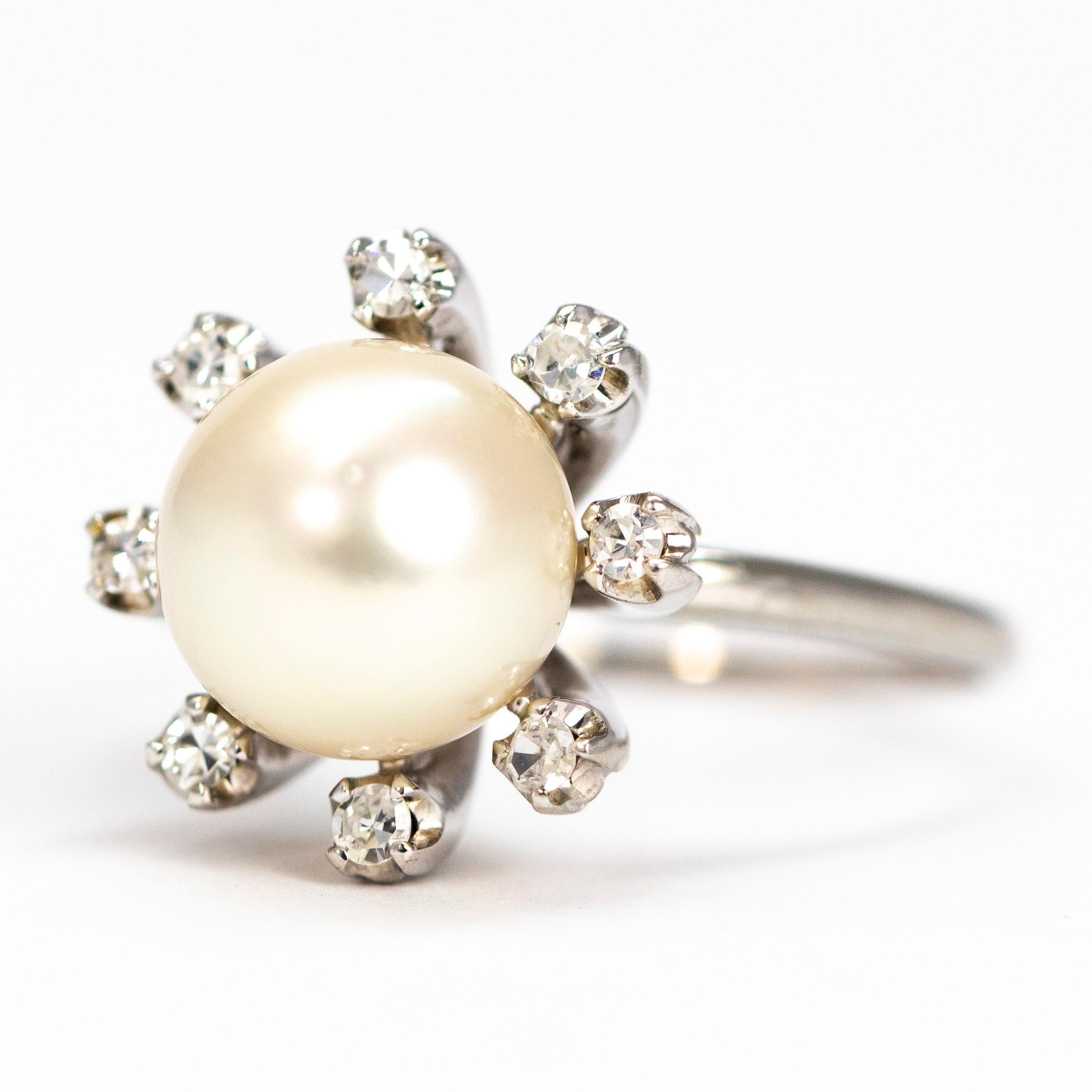 This stunning shimmering pearl is perched upon and surrounded by single diamonds each singularly set. The diamonds measure 4pts each and the ring is modelled in 14ct white gold which complements the pearl and diamonds perfectly.

Ring Size: R or 8