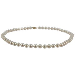 Vintage Pearl Strand Necklace with Cultured Pearls and a 14 Karat Gold Clasp
