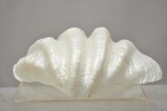 Vintage Pearlescent Molded Plastic Pearl Large Seashell Clam Shell Display Bowl