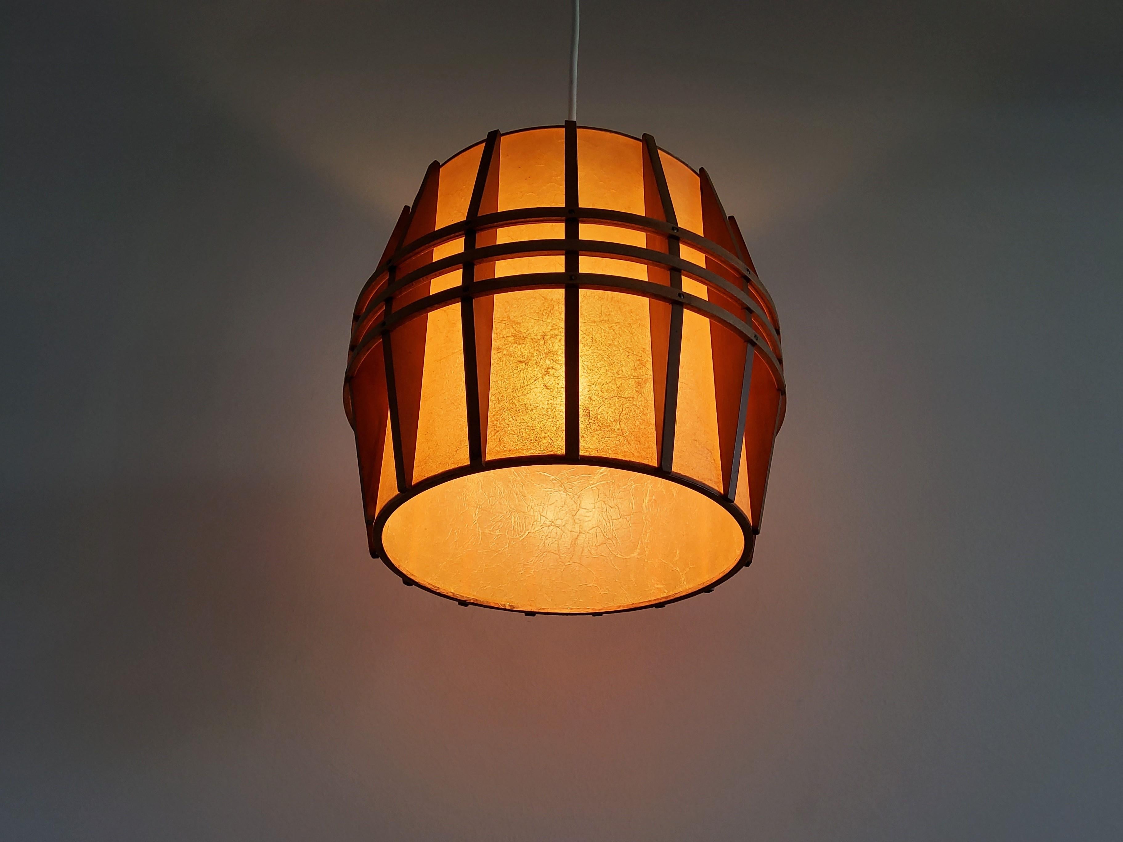 Plastic Vintage Pendant Lamp with Wooden Details, 1960's
