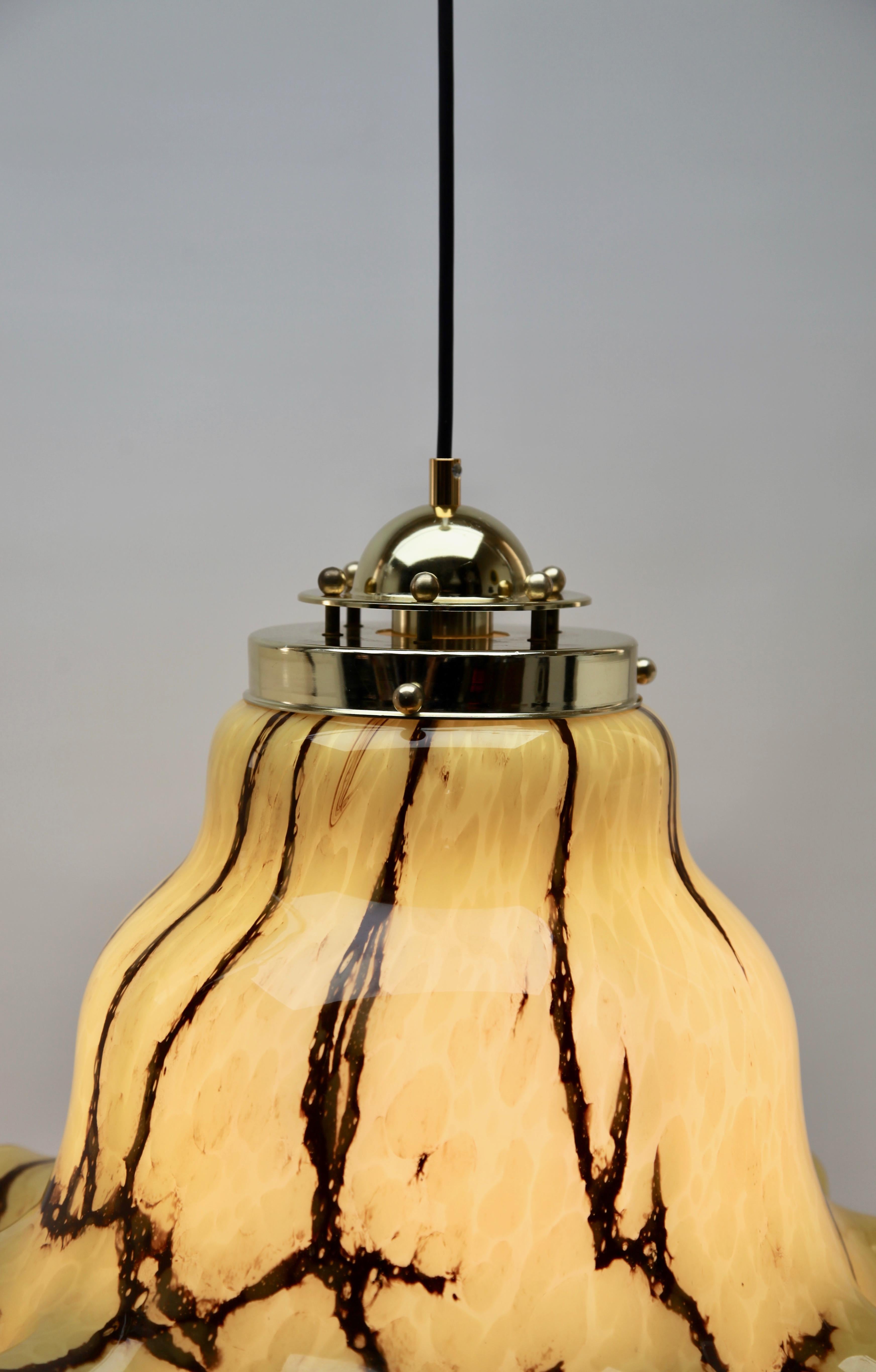 Hand-Crafted Vintage Pendant Light by Peill & Putzler, Germany, 1960s For Sale