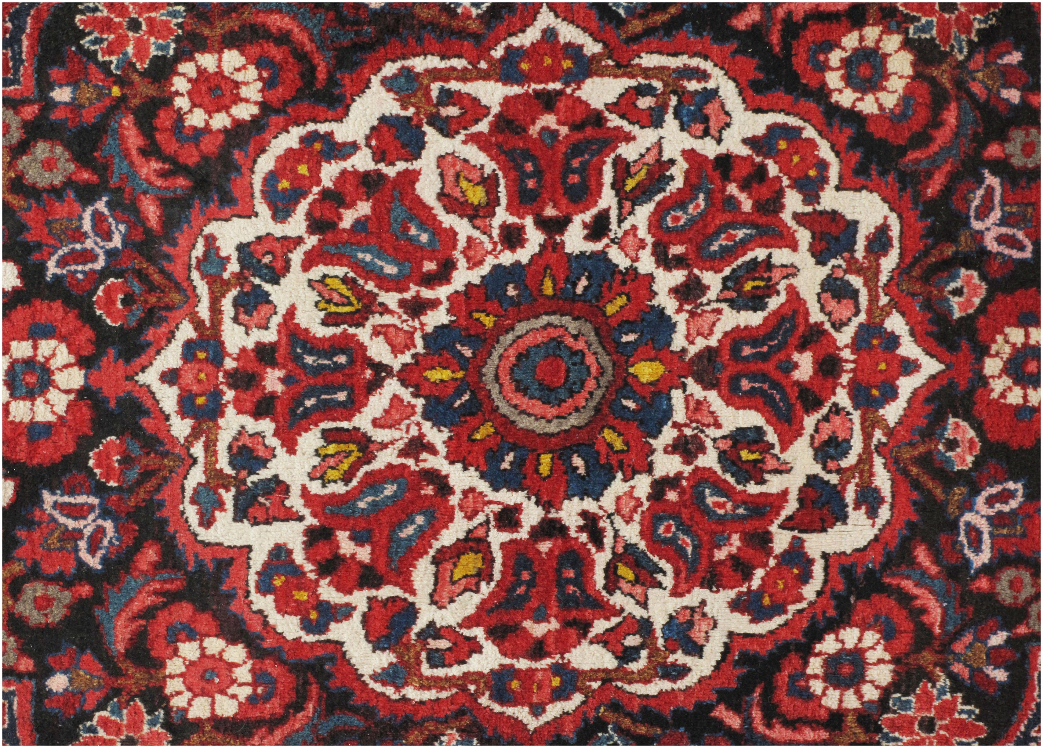 Cotton Vintage Persian Bakhtiari Area Rug  6'9x10'1 For Sale