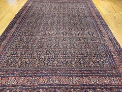 Antique Persian Bidjar Rug, Wool Pile, Allover Herati Pattern, 1900s
