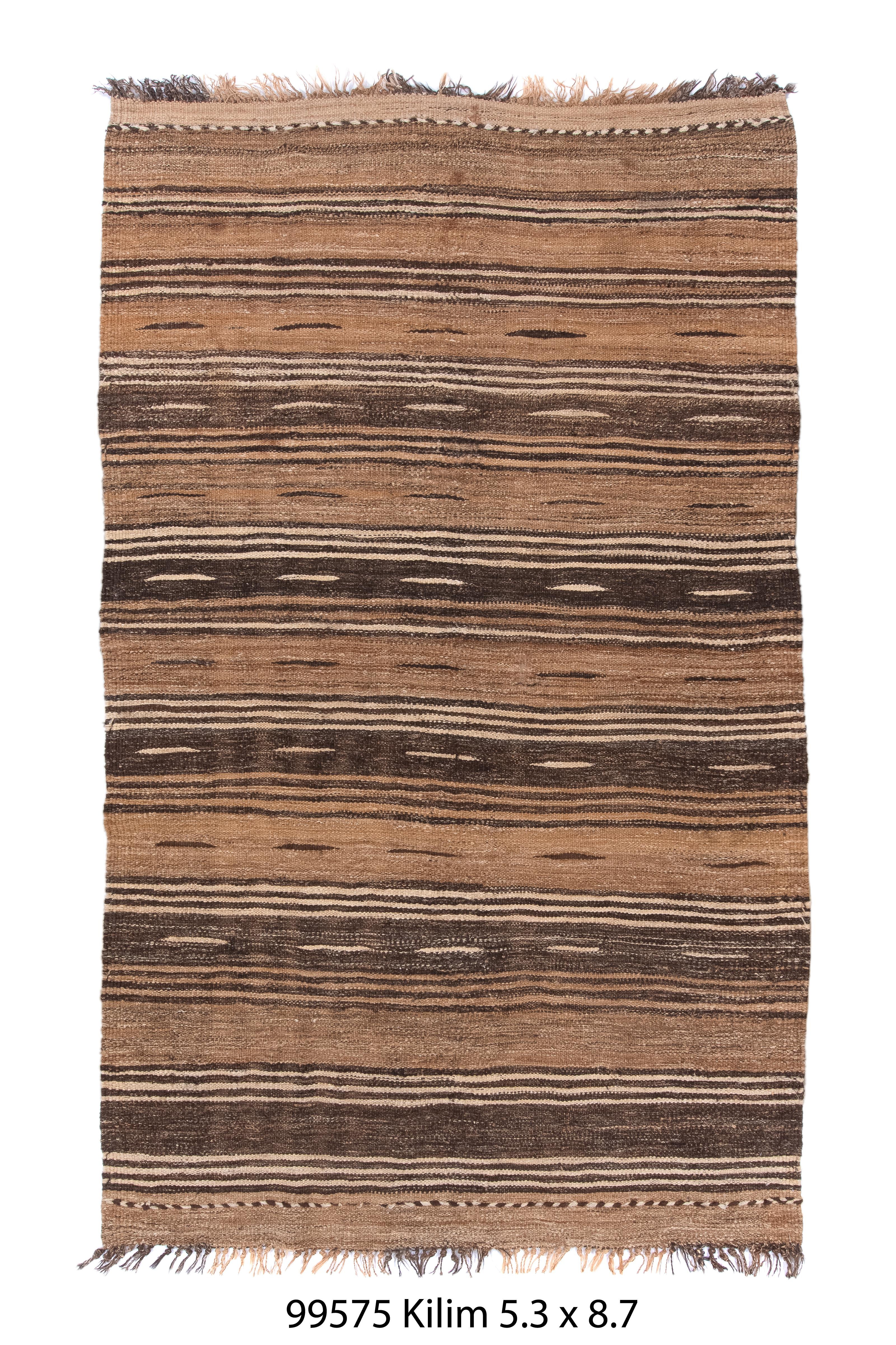 Dieser 1950 gefertigte persische Flachgewebe-Teppich verbindet dunkle Braun- und Naturtöne zu einem faszinierenden Streifenmuster, das zeitlose Eleganz verkörpert. Mit Abmessungen von 5'3X8'7 Fuß strahlt seine rechteckige Form Ausgewogenheit und