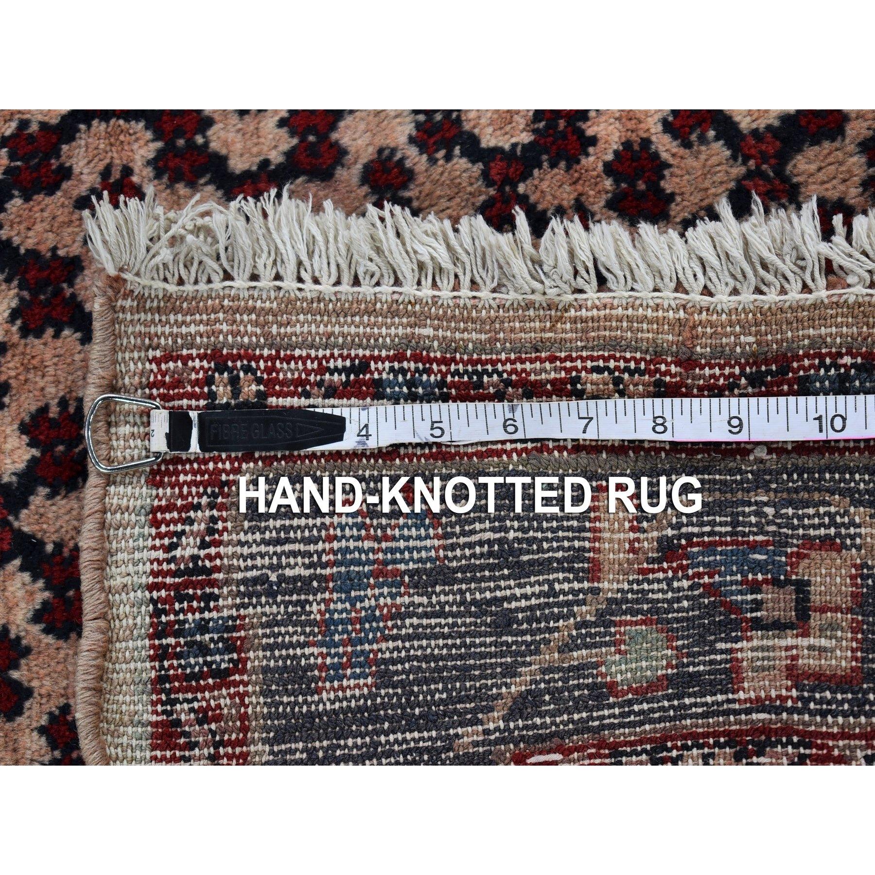 Hand-Knotted Vintage Persian Hamadan with Camel Hair Organic Wool Hand Knotted Oriental Rug