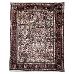 Antique Persian Kashan Room Size Rug in Allover Pattern in Ivory, Blue, Red